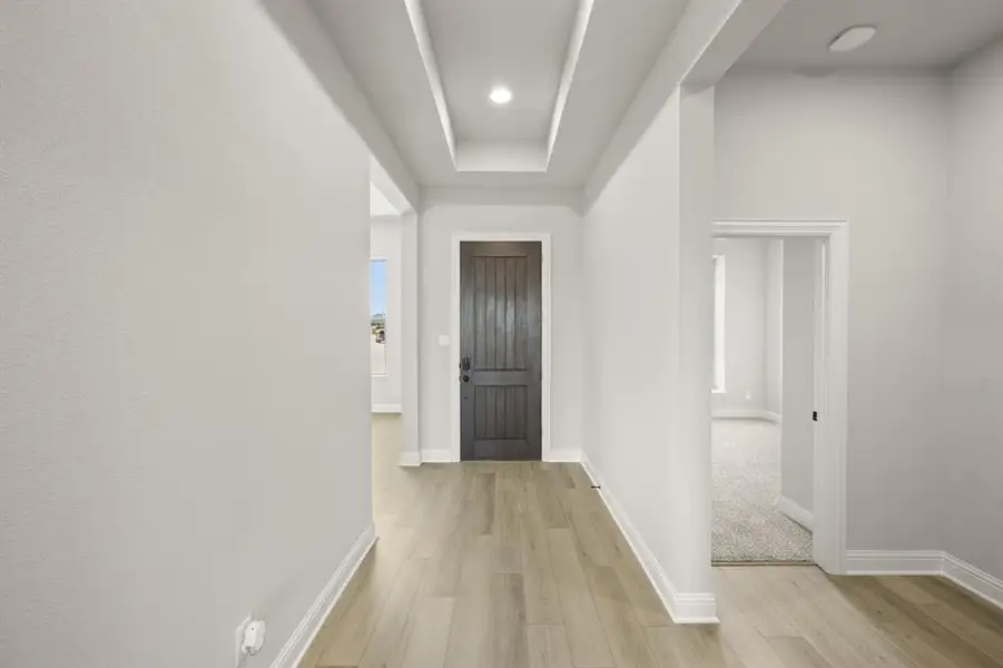 1808 Peace Lily- Entry'-1 1808 Peace Lily- Entry'-1