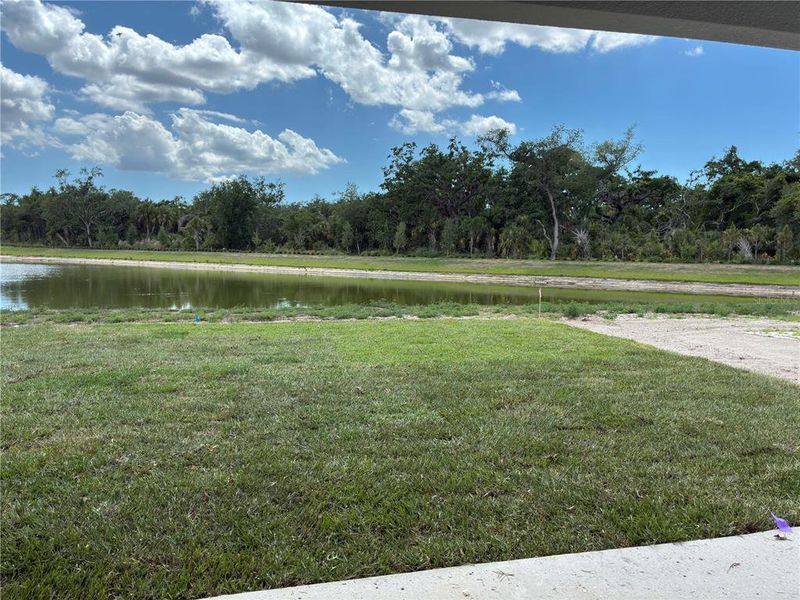 Natural landscape and outdoor views near Oakfield Trails in Parrish (Image 24).