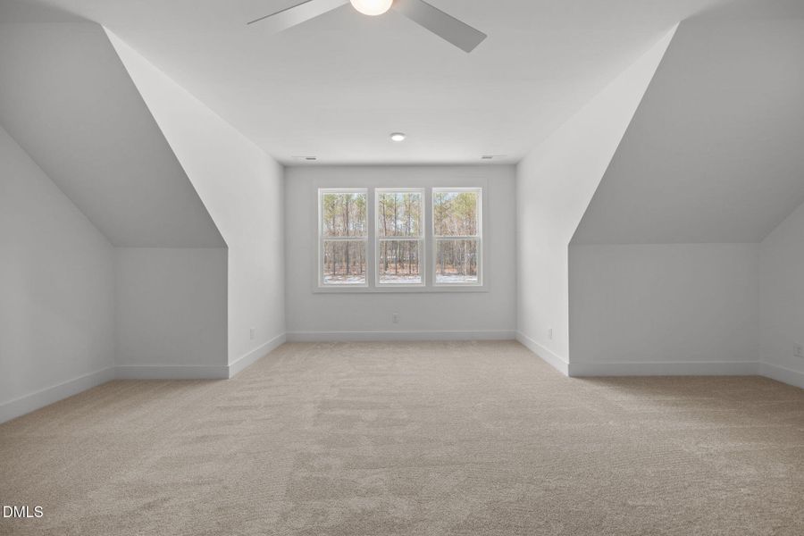 54-web-or-mls-IMG_9448-2