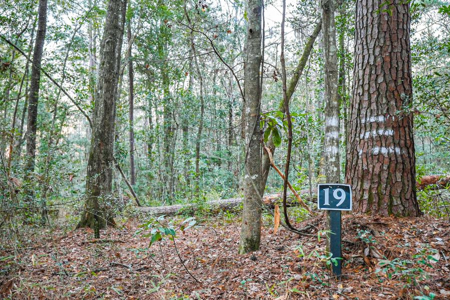 Natural landscape and outdoor views near in Dorchester (Image 30). Natural landscape and outdoor views near in Dorchester (Image 30).