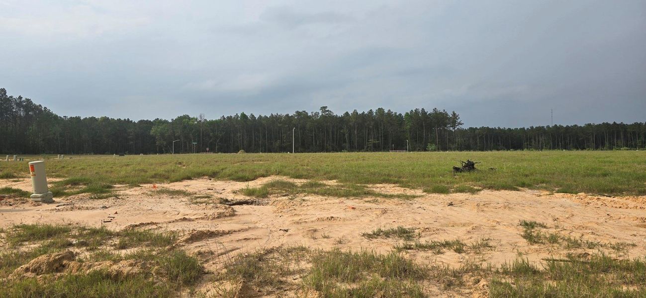 Site preparation for new homesites in Granger Pines, Conroe (Image 24).