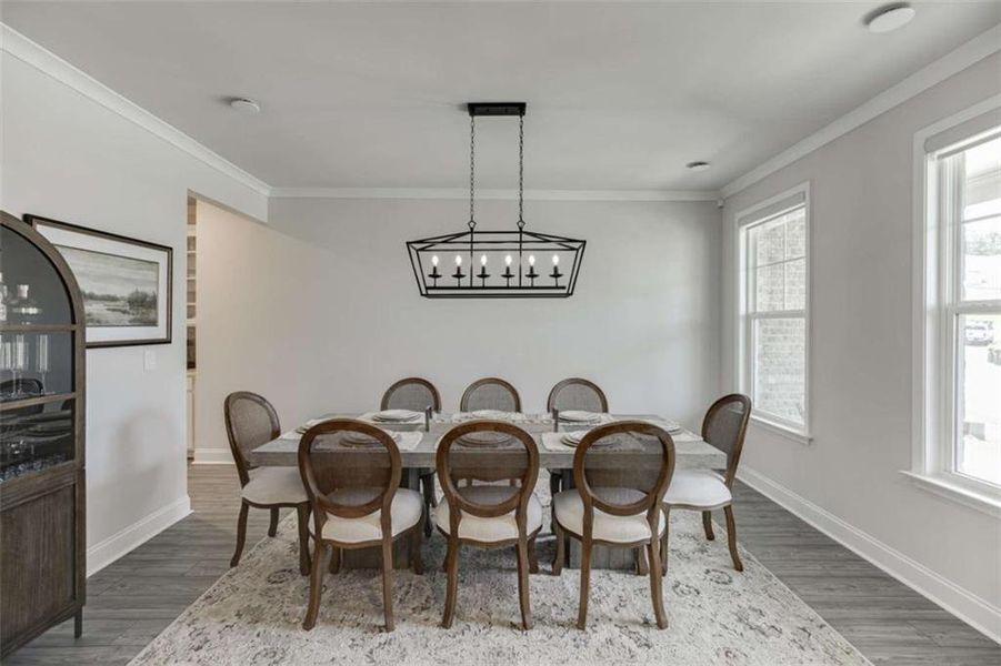 Furnished interior view inside a new home in Overlook at Lanier, Buford (Image 19).