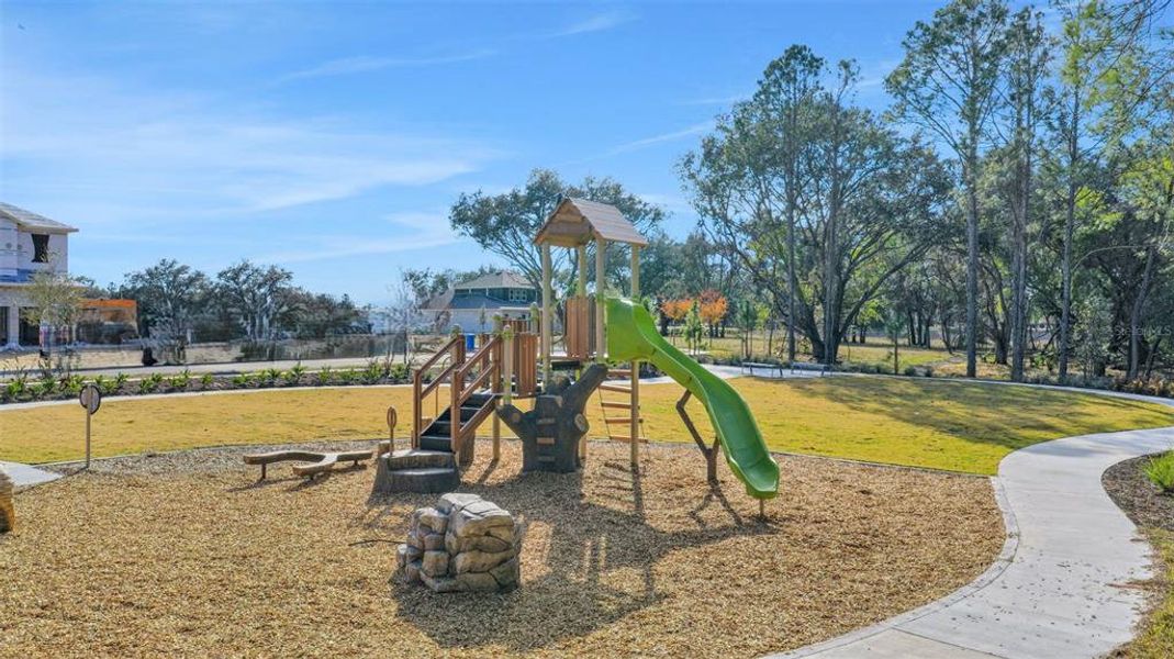 Community amenities in Avalon Woods, Winter Garden (Image 3).