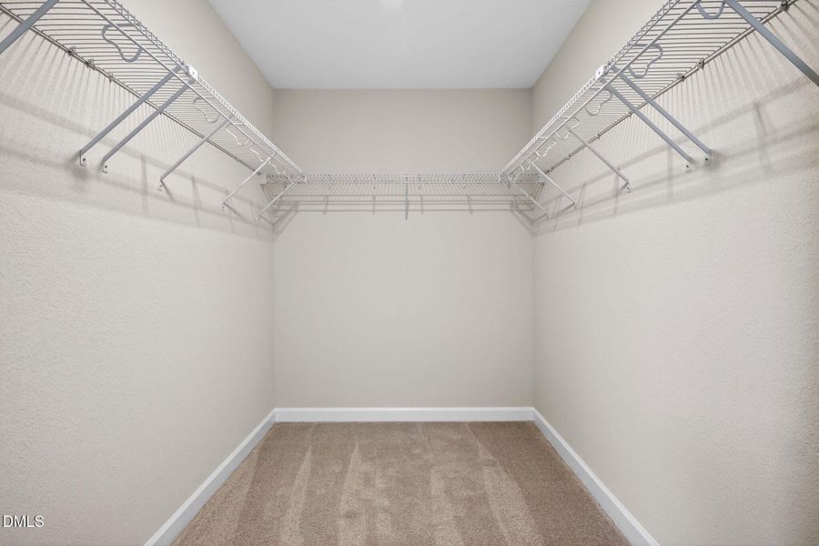 Representation Only / Decorated Model Representation Only / Decorated Model