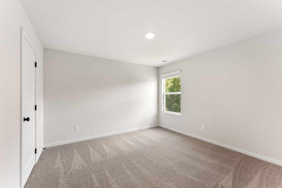A room with a carpet and a window.