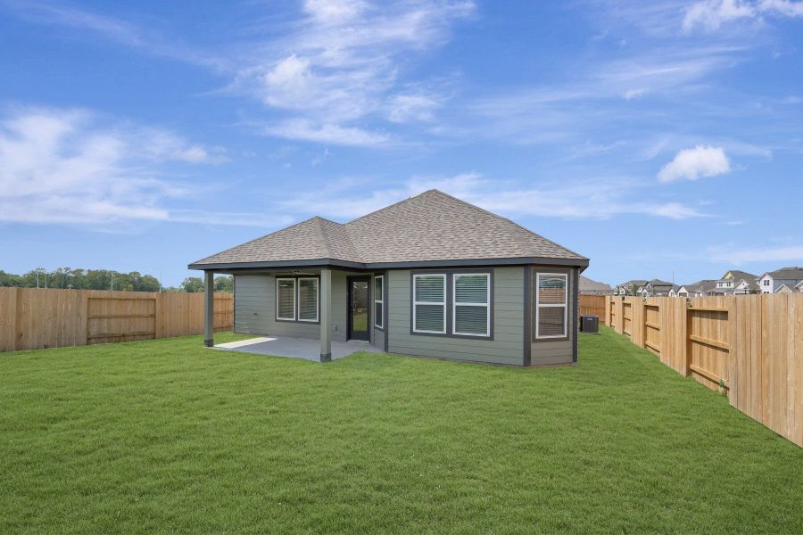 Backyard Backyard