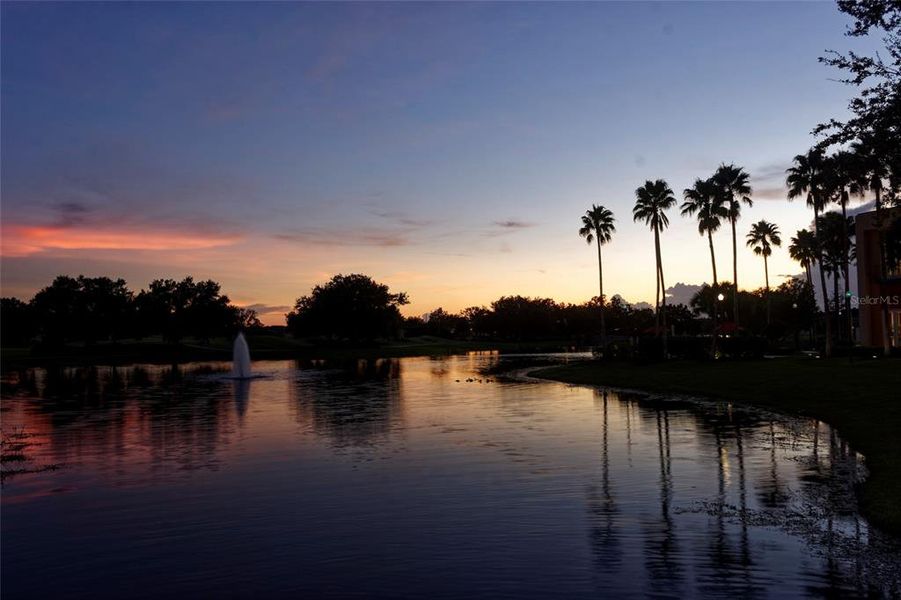 Natural landscape and outdoor views near  in Poinciana (Image 35).