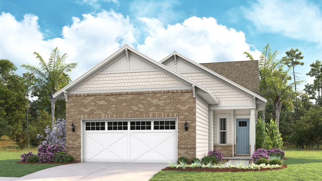 Elevation BB | Brick Elevation BB | Brick