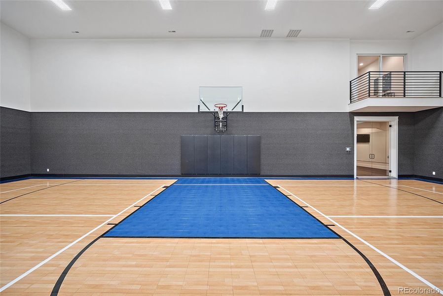 Indoor sport court with batting cage and pickle ball court