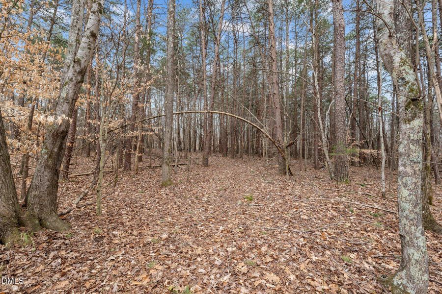 8-web-or-mls-_1190494