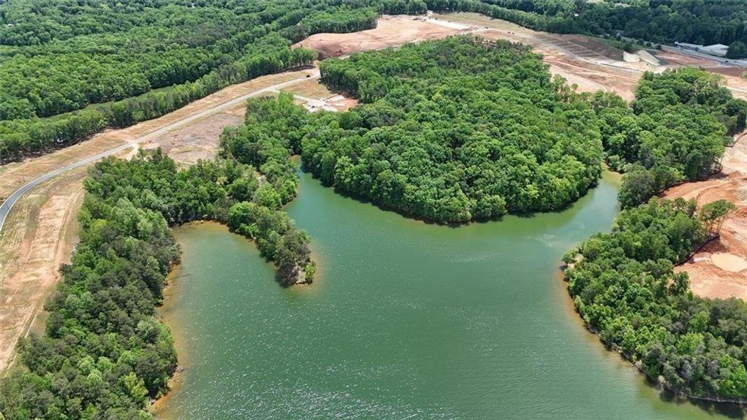Natural landscape and outdoor views near  in Gainesville (Image 5).