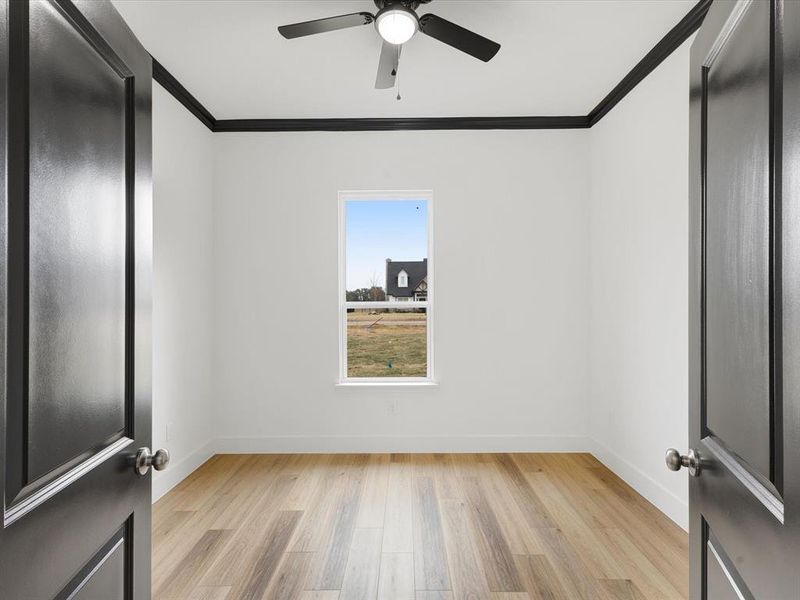 Empty room featuring crown molding, light wood-type flooring, and a ceiling fan Empty room featuring crown molding, light wood-type flooring, and a ceiling fan