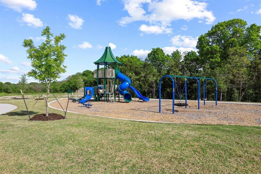 Community Playground