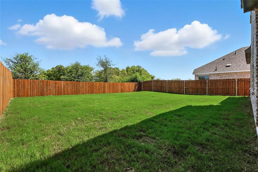 View of fenced backyard