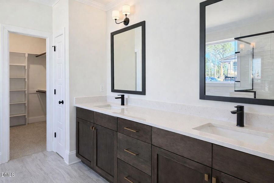 Master Vanity V2 USE