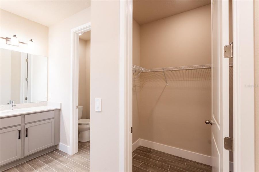 Furnished interior view inside a new home in , Punta Gorda (Image 5). Furnished interior view inside a new home in , Punta Gorda (Image 5).