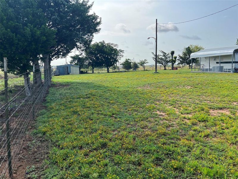 Natural landscape and outdoor views near  in Nocona (Image 26).