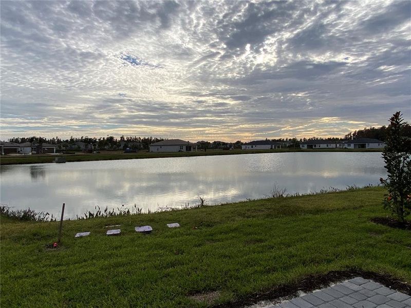 Natural landscape and outdoor views near Valencia Ridge (55+) in Wesley Chapel (Image 25).