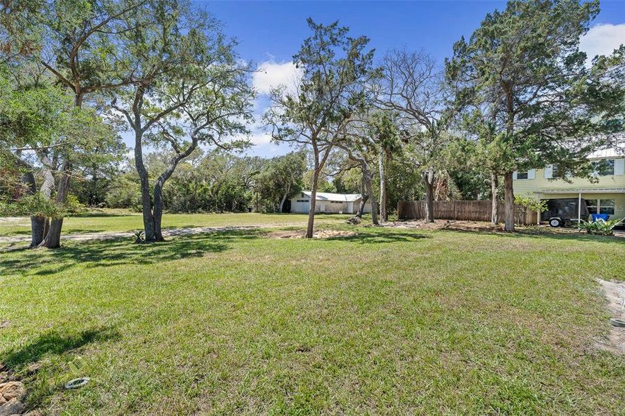 Natural landscape and outdoor views near  in St. Augustine (Image 60).