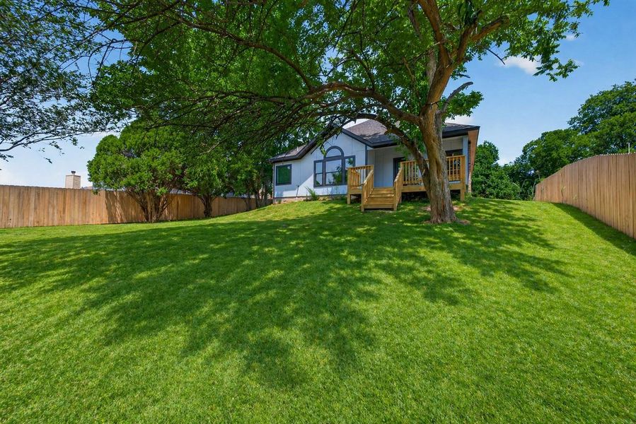 Oversized backyard offering space, privacy, and endless possibilities for outdoor living.