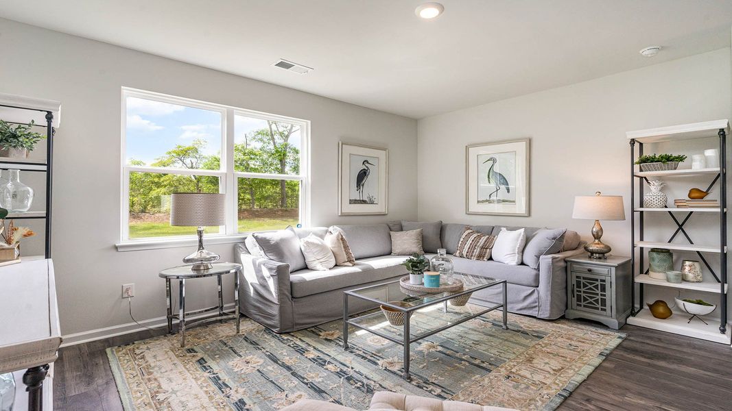 Furnished interior view inside a new home in Gates Village, Lugoff (Image 9). Furnished interior view inside a new home in Gates Village, Lugoff (Image 9).