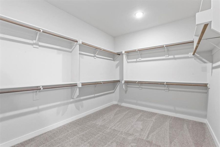 Walk in closet featuring carpet floors