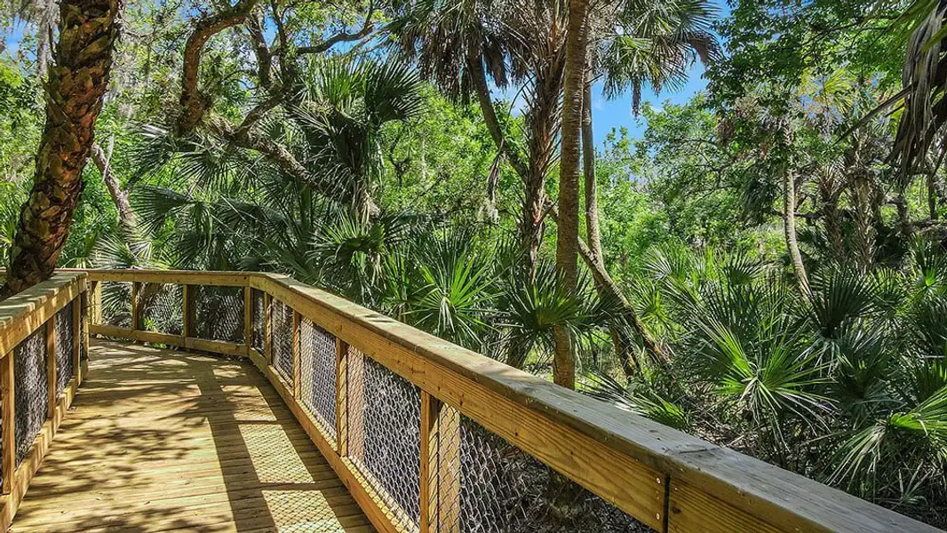 Natural landscape and outdoor views near Skye Ranch Community Group Page in Sarasota (Image 87).