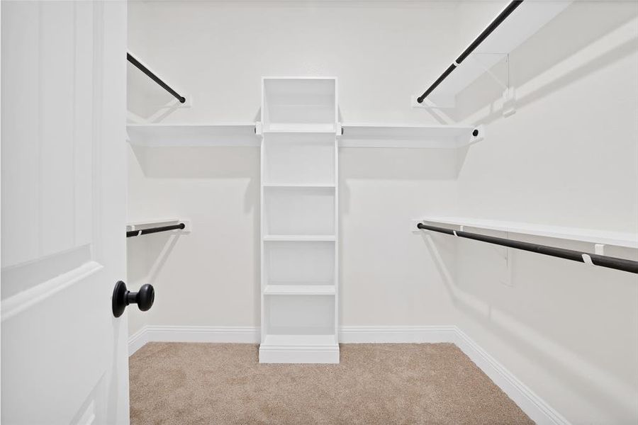 Spacious closet featuring light carpet