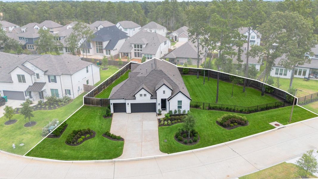 Sensational, oversized lot Sensational, oversized lot