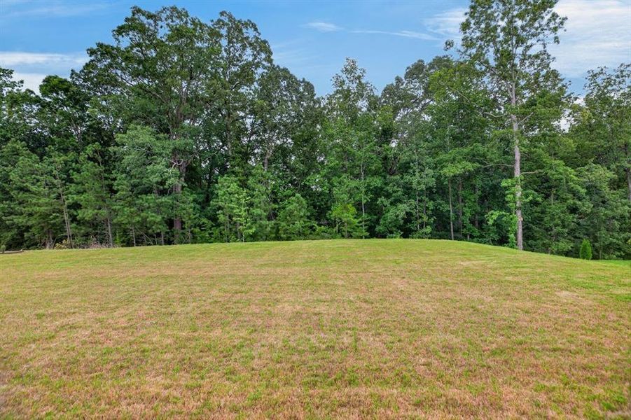 Natural landscape and outdoor views near Pickens Bluff in Hiram (Image 45).