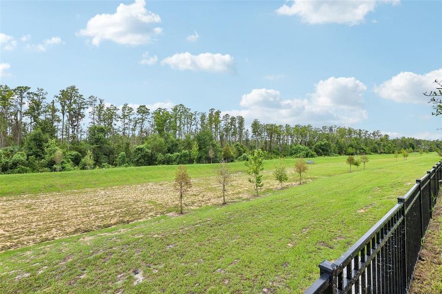 Natural landscape and outdoor views near Cagan Crossings West in Clermont (Image 35).