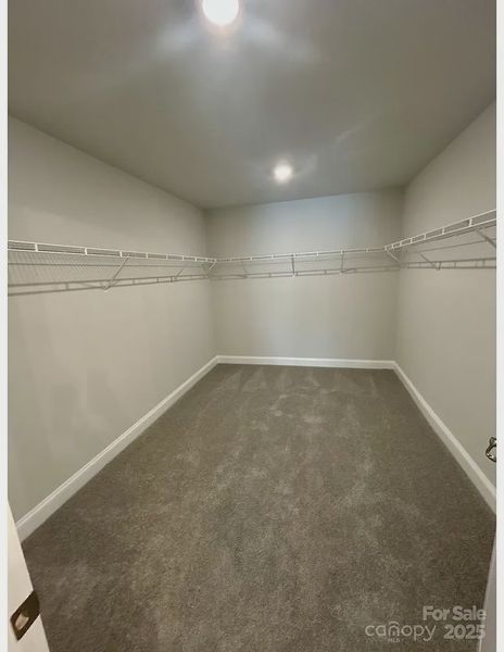 Spacious, unfurnished interior of a new home in Crystal Village, Albemarle (Image 17).