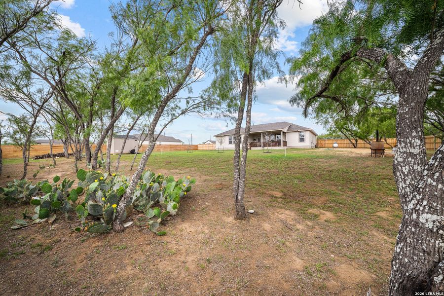 Natural landscape and outdoor views near Jordan's Ranch in San Antonio (Image 26).