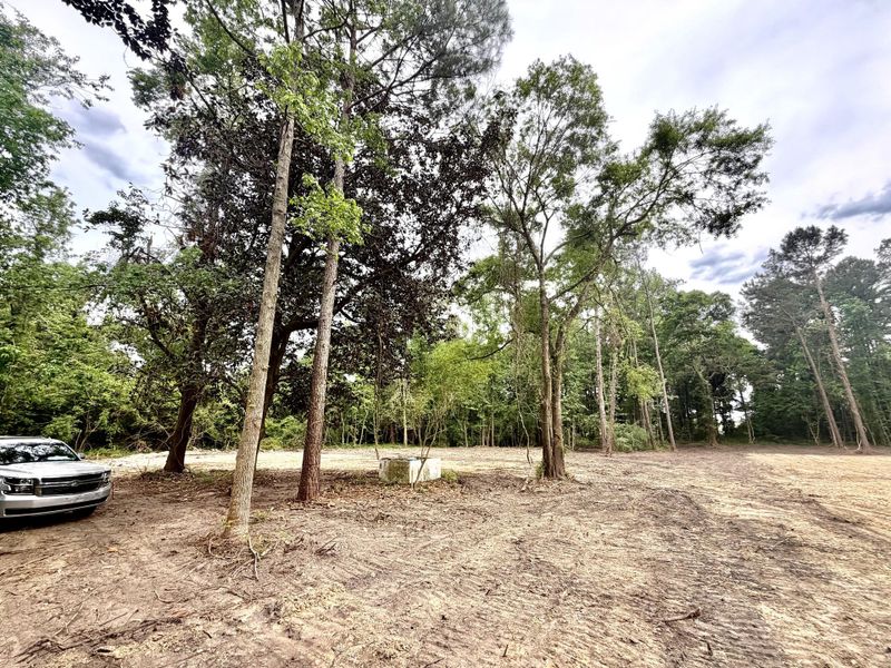 Natural landscape and outdoor views near  in St. George (Image 17).