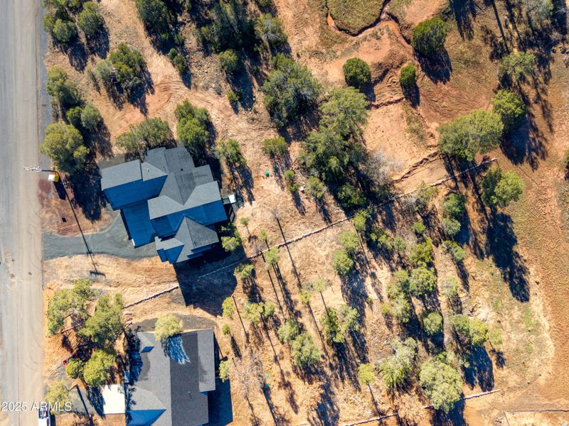 PaxmanPh_DJI_20251205110048_0274_D-Edit PaxmanPh_DJI_20251205110048_0274_D-Edit