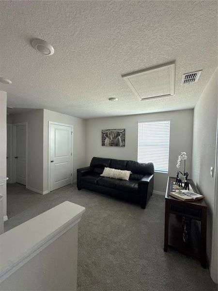 Furnished interior view inside a new home in Evergreen, Bradenton (Image 15). Furnished interior view inside a new home in Evergreen, Bradenton (Image 15).