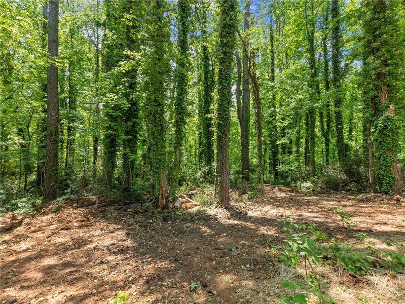 Natural landscape and outdoor views near  in Gainesville (Image 30).