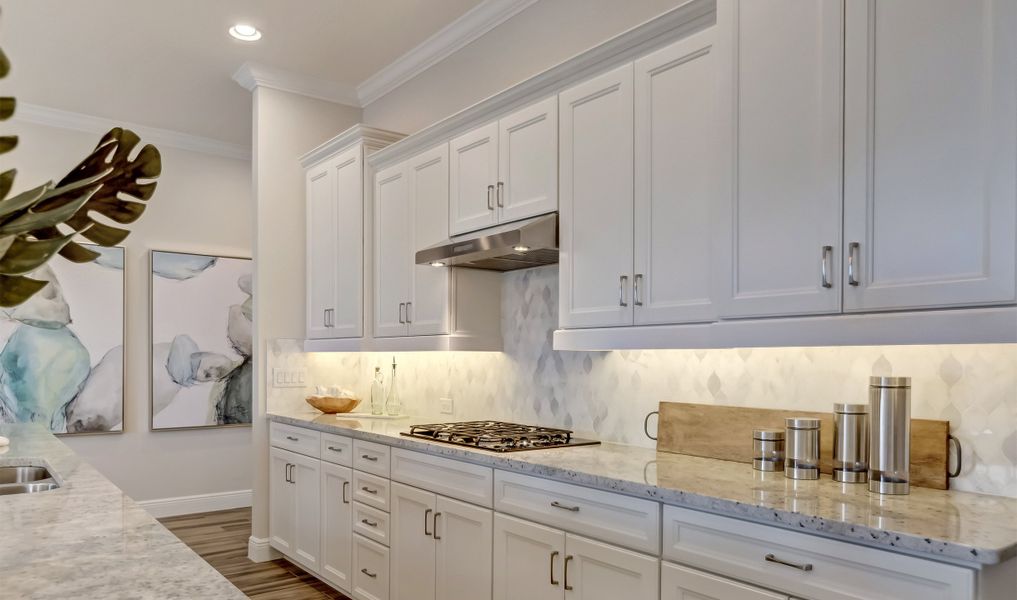 Ample cabinet space in kitchen