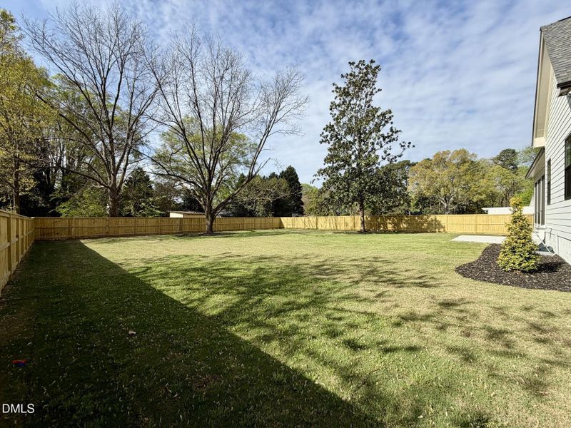 Backyard