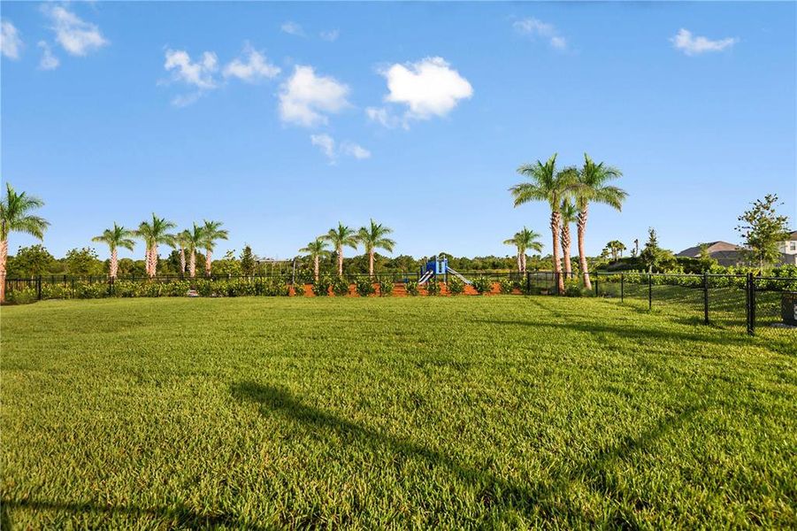 Natural landscape and outdoor views near Skye Ranch Community Group Page in Sarasota (Image 22). Natural landscape and outdoor views near Skye Ranch Community Group Page in Sarasota (Image 22).