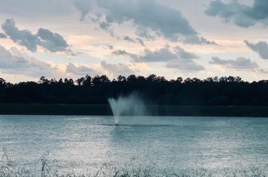 Image 7 of a home in Tealpointe Lake Estates.