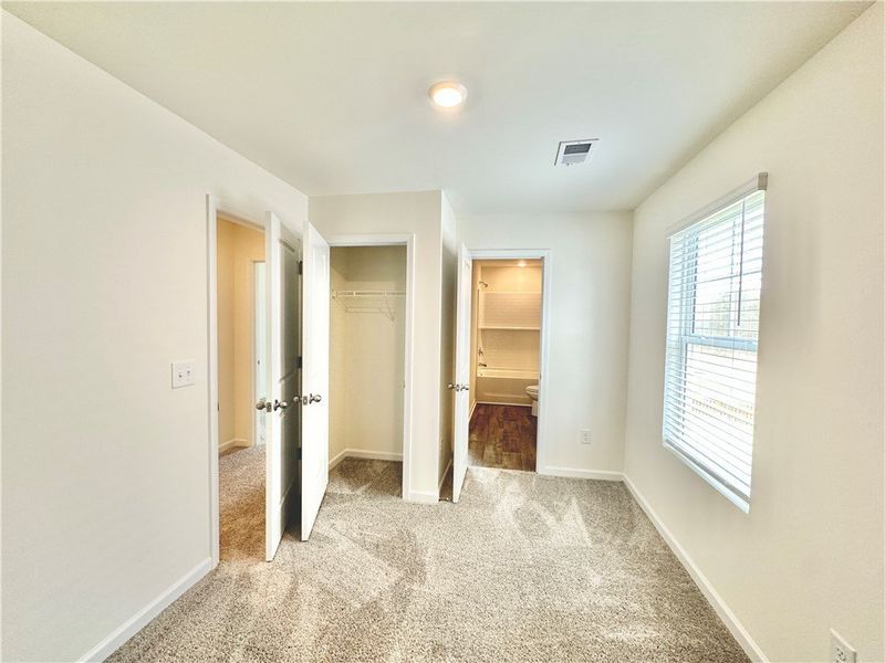 *Photo is from similar Palomino. Actual pics will *Photo is from similar Palomino. Actual pics will