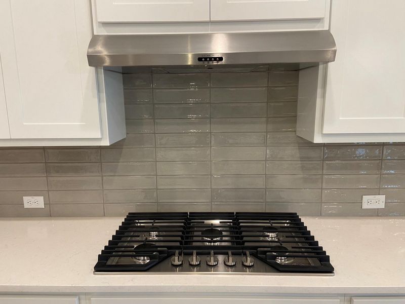 5 burner Gas Cooktop with Stainless hood