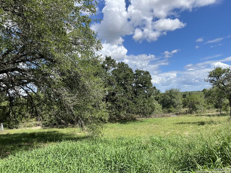 Natural landscape and outdoor views near  in Floresville (Image 10).