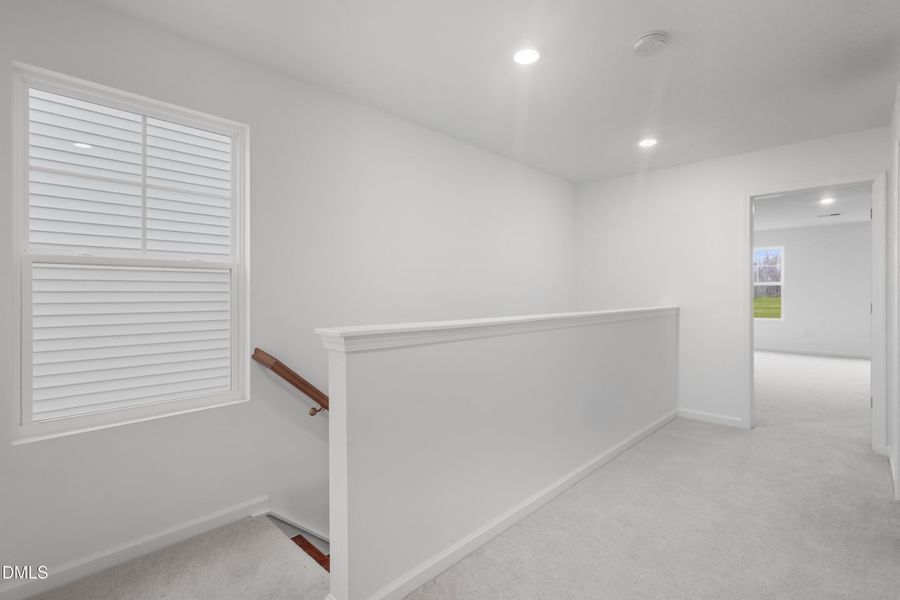 SUN_MyrtleMeadows_Pic_CarsonII-30