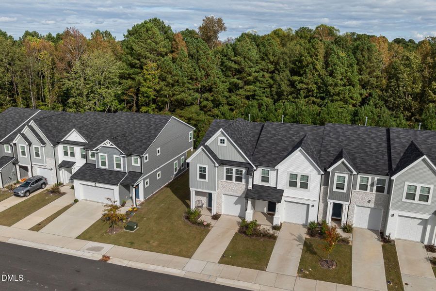 5-web-or-mls-DJI_0337