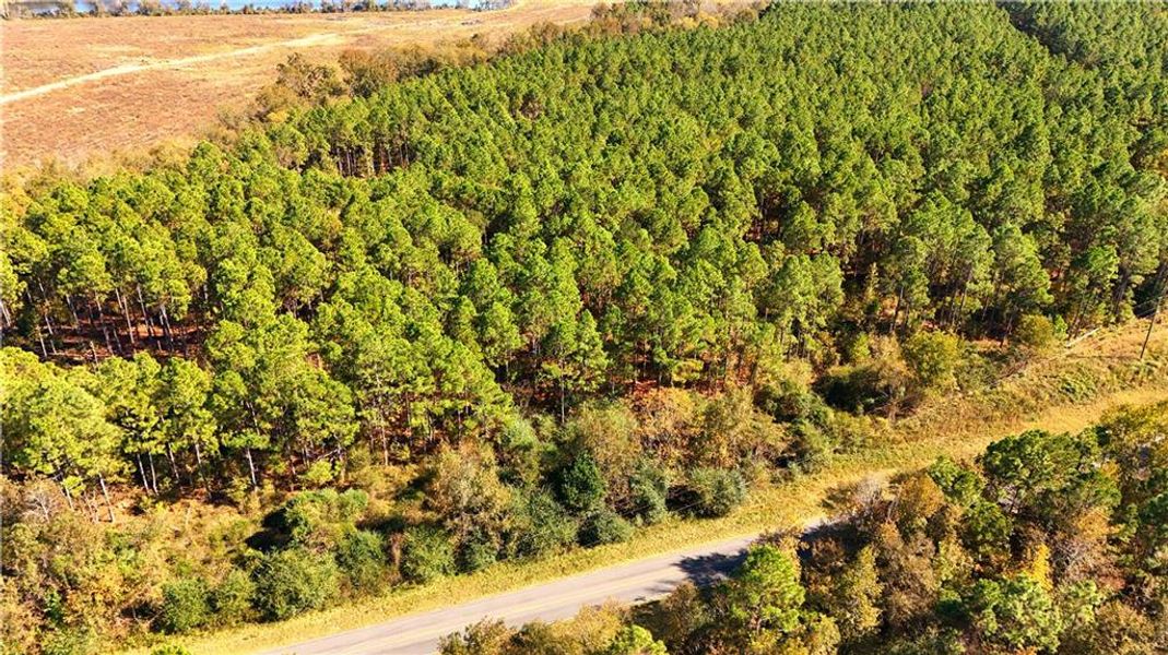 Natural landscape and outdoor views near  in Chester (Image 6).