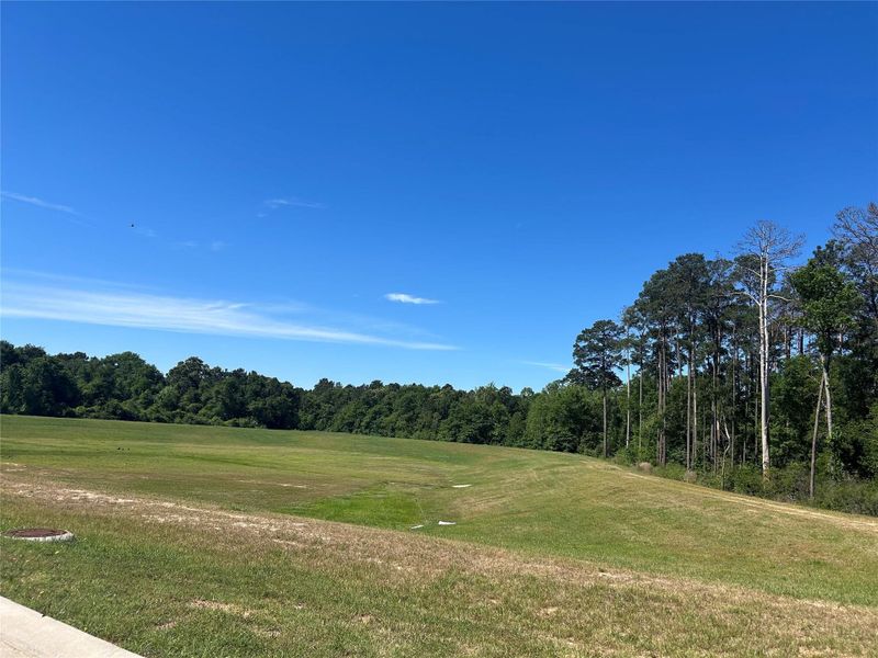 Walking trail is just down the street from the house!