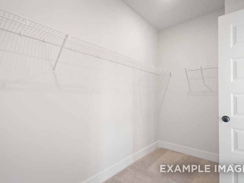 Spacious, unfurnished interior of a new home in Woods Crossing, Gallatin (Image 70).