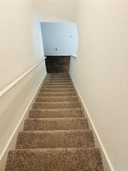 Plush carpeted descending stairs Plush carpeted descending stairs